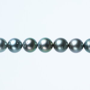 s^創̒́te]80_Eقǂ悢[݂Ə㎿ȋPaO[Vo[ ^lbNXyz