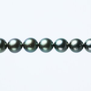 s^創̒́te]90_E󏭉iсEiȃeƂƂFڂ̔ZLeAY^lbNXyz