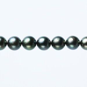 s^創̒́te]90_E󏭉iсEiȃeƂƂFڂ̔ZLeAY^lbNXyz