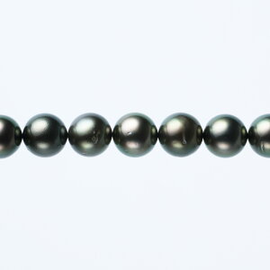 s^創̒́te]100__Eɏ̔Z󏭂ȃO[nLeAY^lbNXyz