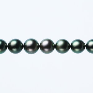 s^創̒́te]100__ELeÅCݏo_̃u[O[nLeAY^lbNXyz