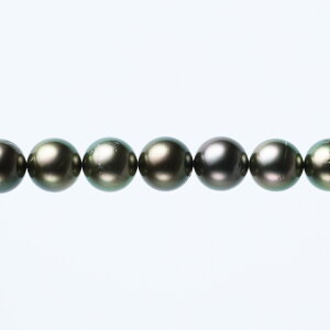 s^創̒́te]100__El̍ZAJ[AXO[nLeAY^lbNXyz