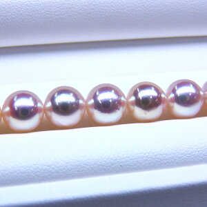 s^創̒́te]100__EItzCgn̍TߐFɍō]̌򊴁zAR{^lbNX[ItzCgnsNO[] 8-8.5mmyz