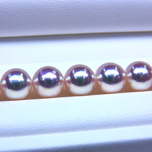 s^創̒́te]100__Eō]̔ȃLYŎzAR{^lbNX[zCgnsNO[] 8-8.5mmyz