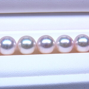 s^創̒́te]85_EP^]̕ɂ߁zAR{^lbNX[zCgnO[sN] 7.5-8mmyz