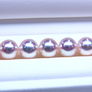 s^創̒́te]100__E50~ȓŐlCNO.1zAR{^lbNX[zCgnsNO[] 8-8.5mmyz