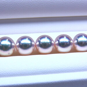 s^創̒́te]100__EȔƑ̃TCYzAR{^lbNX[zCgnO[sN] 8.5-9mmyz