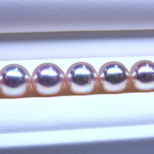 s^創̒́te]100__EɓނFڂɍō]̌TCYzAR{^lbNX[zCgnO[sN] 8.5-9mmyz