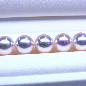 s^創̒́te]95_Eō̃eɊȏF̑TCYzAR{^lbNX[zCgnsNO[] 8.5-9mmyz