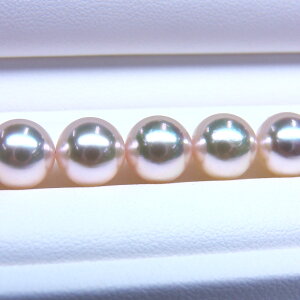 s^創̒́te]95_E畂O[x[XFeƏ_炩ȃzCgFzAR{^lbNX[zCgnO[sN] 8.5-9mmy