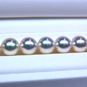 s^創̒́t e]100__EN鎿Aō̔ zFAR{^lbNX[VL[zCgnsNO[] 8-8.5mmyz