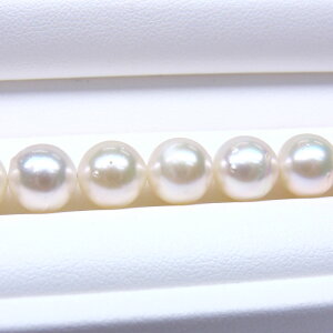 s^創̒́te]65_E肵Ȃ򊴂ɏ_炩ȕ\ʐFzAR{^lbNX[ItzCgnO[sN] 8-8.5mmyz