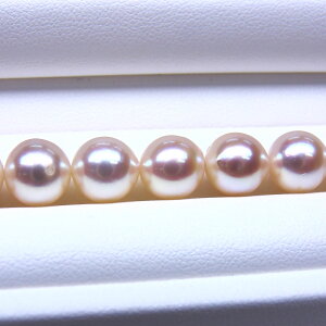 s^創̒́t e]80_EiȃeƃzCgn̒ł_炩ȂF zAR{^lbNX[zCgnsNO[] 8-8.5mmyz