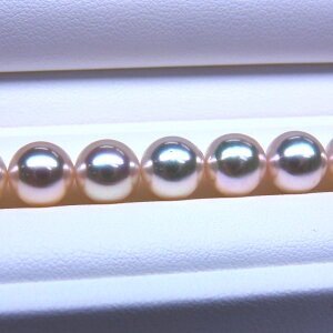 s^創̒́t e]95_Eō̌򊴂ɔ݂̗ǂ\ʐF zAR{^lbNX[zCgnO[sN] 8-8.5mmyz