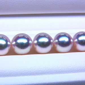 s^創̒́te]100__E▭ȃLYƍō]̔TCYzAR{^lbNX[zCgnO[sN] 9-9.5mmyz