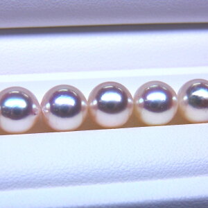 s^創̒́te]90_E20~ȓōł̔̑lCizAR{^lbNX[zCgnsNO[] 7.5-8.0mmyz