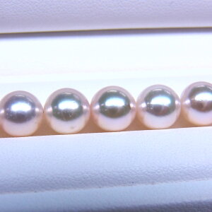 s^創̒́te]90_EzƂFȀŐÂɋPzAR{^lbNX[zCgnO[sN] 7.5-8.0mmyz