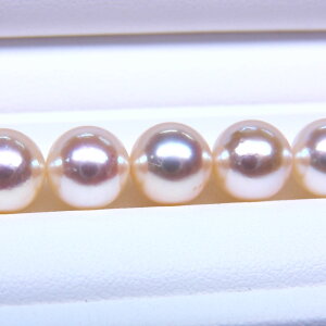 s^創̒́t e]95_ECgVp̉₩ƁAō̌ zAR{^lbNX[CgVpnsNO[] 8-8.5mmyz