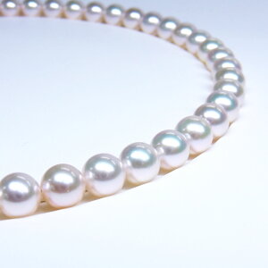 s^創̒́te]90_E25~Ƃ͎vȂƃZuTCY̊󏭉izAR{^lbNX[zCgnO[sN] 8.5-9mmyz