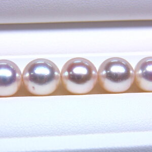 s^創̒́t e]85_EԂ̍ēׁAiƌĂׂ鉤i zAR{^lbNX[zCgnsNO[] 8-8.5mmyz