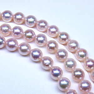 s^創̒́te]90_ẼLYiȃed3{OlbNXAR{^7.5-8mmOlbNX[zCgnsNO[] 7.5-8mmy