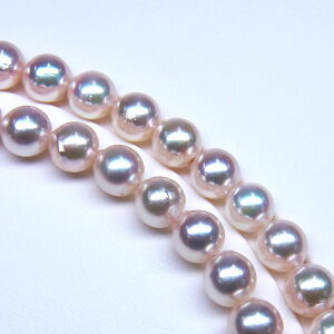 s^創̒́te]90_ẼLYiȃed2{OlbNXAR{^7.5-8mmOlbNX[zCgnsNO[] 7.5-8mmy