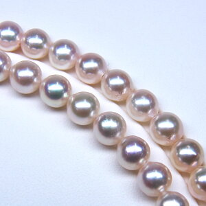 s^創̒́te]90_ẼLYiȃed2{OlbNXAR{^7.5-8mmOlbNX[zCgnsNO[]7.5-8mmy