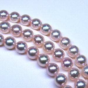 s^創̒́te]95_ẼLYō̃egp3{OlbNXAR{^7.5-8mmOlbNX[zCgnsNO[]7.5-8mmyz