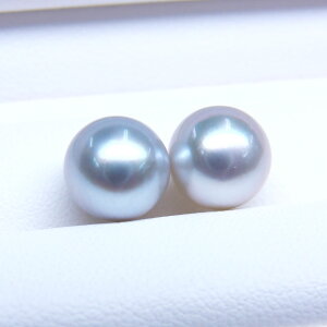 s^創̒́te]80_E󏭂oNωɋi`CgO[nzFAR^COEsAXpyA[i`CgO[nO[]