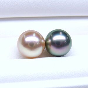 s^創̒́te]95_Eō̌򊴂Ɖ₩Ȑ^씧̃oCJ[ E^COEsAXpyA[O[nv~As[RbNEv~AV