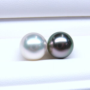 s^創̒́te]95_Eō̃eɊSLYɋ߂₩Ȑ^씧 E^COEsAXpyA[O[nv~As[RbNEzCgn