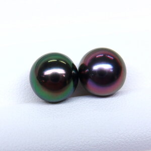 s^創̒́te]100__Eō]̔oCJ[ ^COEsAXpyA[O[nv~As[RbNE`F[nv~As[R