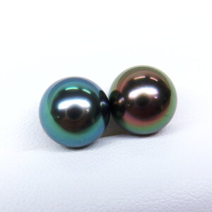 s^創̒́te]100__Eō]̔oCJ[ ^COEsAXpyA[u[O[nv~As[RbNEO[nv~A