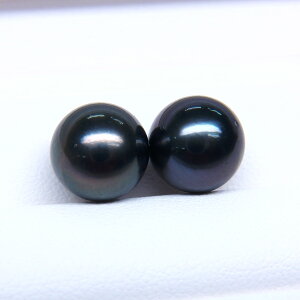 s^創̒́te]80_E₩Ȑ^씧Ɖ̍ioX ^COEsAXpyA[_[NO[n]9mmUPyz