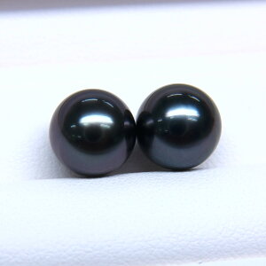 s^創̒́te]80_E₩Ȑ^씧Ɖ̍ioX ^COEsAXpyA[_[NO[n]9mmUPyz