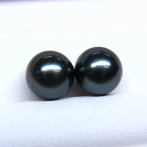 s^創̒́te]80_E₩Ȑ^씧Ɖ̍ioX ^COEsAXpyA[_[NO[n]9mmUPyz