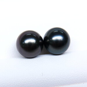 s^創̒́te]80_E₩Ȑ^씧Ɖ̍ioX ^COEsAXpyA[_[NO[n]9mmUPyz