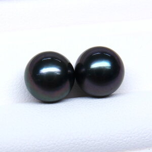 s^創̒́te]80_E₩Ȑ^씧Ɖ̍ioX ^COEsAXpyA[_[NO[n]9mmUPyz