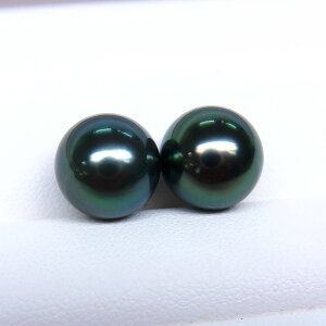 s^創̒́t e]100__ẼLYō]̔ƃ{[d  ^COEsAXpyA[O[nv~As[RbN]10mmUPy