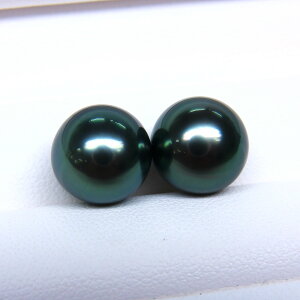 s^創̒́t e]100__ẼLYō]̔ƃ{[d  ^COEsAXpyA[O[nv~As[RbN]10mmUPy