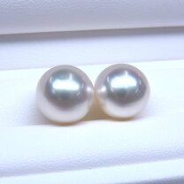 楽天市場】白蝶真珠 ピアスの通販 
