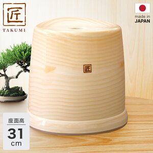 C֎q HL-TK ʍ 31cmy ^N~z ؖڒ C֎q C oX`FA oXXc[ V[`FA ؖږ͗l ؖڕ a_  R AgH    VJe