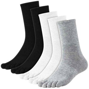 [AOY] 5{w\bNX Y  ܖ{w ܖ{wC jO \bNX 5{w rWlX\bNX v ~ߕt z 傫  CY 25~28cm 5Zbg