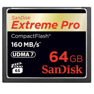 �T���f�B�X�N �G�N�X�g���[�� �v�� �R���p�N�g�t���b�V�� 64GB