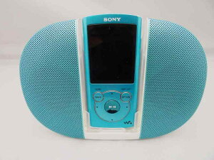 SONY EH[N} SV[Y [^Cv Xs[J[t 16GB NW-S765K