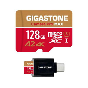 GIGASTONE }CNsdJ[h 256-4-1 Core Group