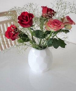 ԕrԕr킨Ȉ֑}Ԋ~jԊԓт{[ԃrFukuka ͂ȕr r ^dpt[x[X Z~bN 1 (zCg3)