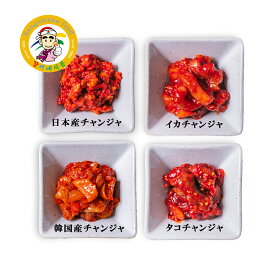 タコ・イカ・タラチャンジャ（韓国産 日本産）200g 3個セット 食べ比べ 【カンシネ食品】