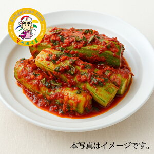 JVl Ɛ ICL` 500g ؍L` イL` ؍Hi ؍  ① L` {yJVlHiz