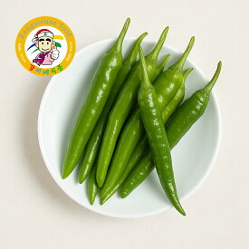 青唐辛子 韓国産青唐辛子 約500g 辛口 韓国食品 韓国食材 青とうがらし 食材 送料無料【カンシネ食品】
